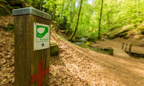 Adventurewalk Pfälzerwald 25 / 50 7 Adventurewalk Pfälzerwald 25 / 50 6
