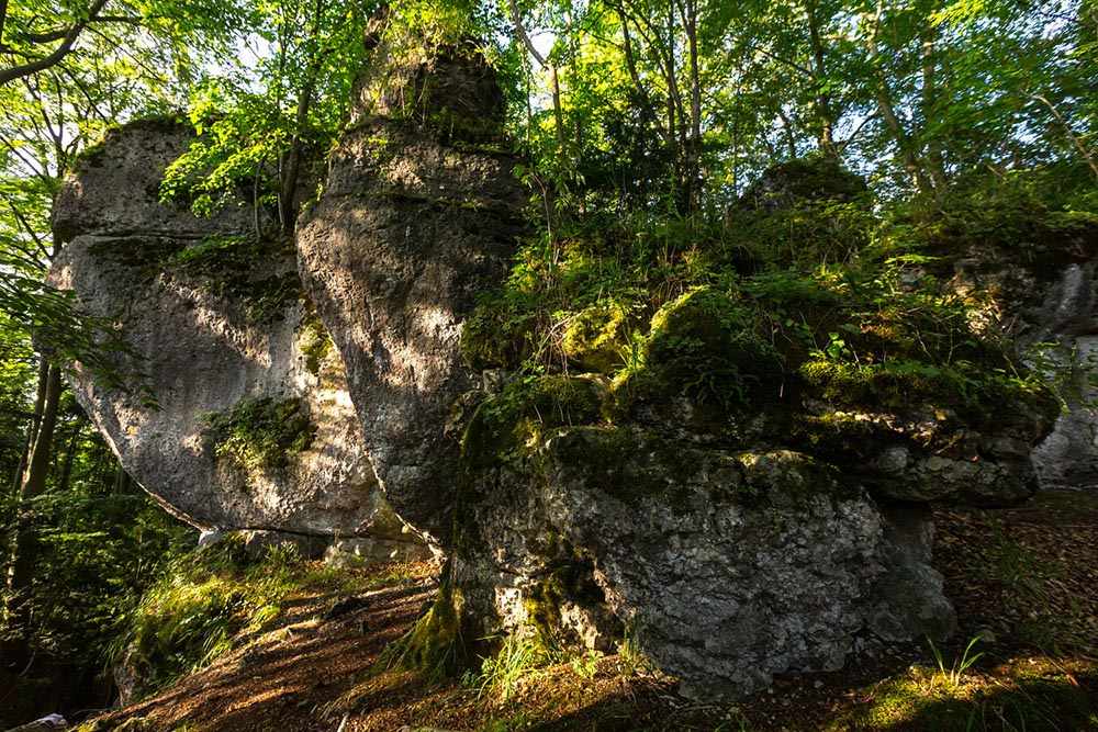 Karstkundlicher Wanderpfad 5 Karstkundlicher Wanderpfad